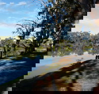 Murray River National Park - Katarapko - Tourism Adelaide
