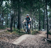 Nerang Mountain Bike Trails - Tourism Adelaide