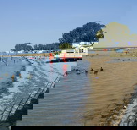 Port Vincent - Tourism Adelaide