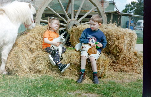 Rain Hayne And Shine Farmyard - Tourism Adelaide 0