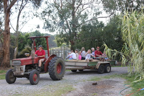 Rain Hayne And Shine Farmyard - Tourism Adelaide 1