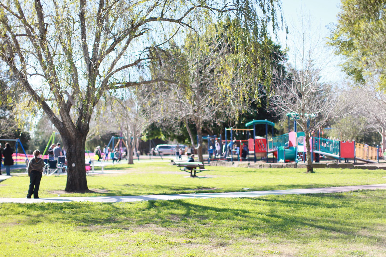 Dyrring NSW Tourism Adelaide