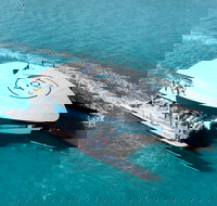 The YOT Club - Tourism Adelaide