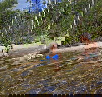 Tjaynera Falls Sandy Creek - Tourism Adelaide