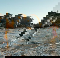 Venus Bay - Tourism Adelaide