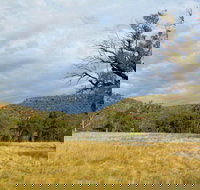 Weddin Mountains National Park - Tourism Adelaide