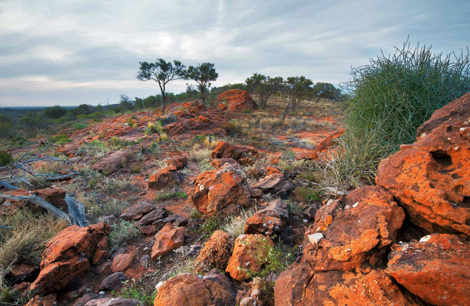 Mutawintji NSW Tourism Adelaide