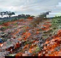 Western Ridge Walk - Tourism Adelaide