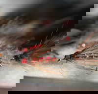 Australian Fly Fishing Museum - Tourism Adelaide