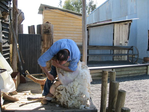 Boggy Creek Show - Tourism Adelaide 2