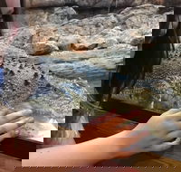 Canberra Reptile Zoo - Tourism Adelaide