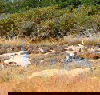 Cape Keraudren Nature Reserve - Tourism Adelaide
