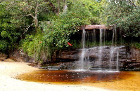 Collins Flat Beach - Tourism Adelaide 0