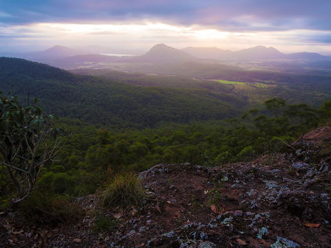Cunninghams Gap And Spicers Gap, Main Range National Park - Tourism Adelaide 0