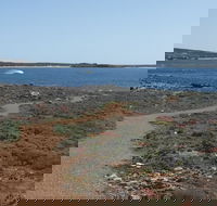 Elliston Coastal Trail - Tourism Adelaide