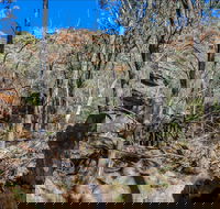 Eualdrie Walking Track - Tourism Adelaide