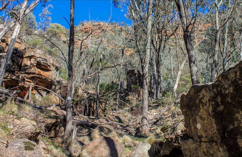Eualdrie Walking Track - Tourism Adelaide 0