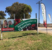 Fairfield Orchard - Tourism Adelaide