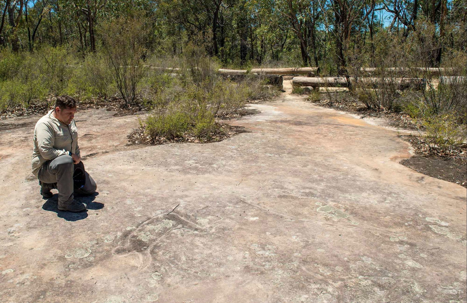 Big Yengo NSW Tourism Adelaide