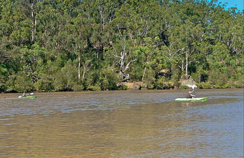 Fitzpatrick Park - Tourism Adelaide 0