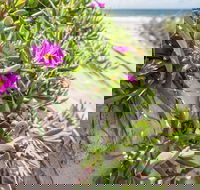 Fort Bribie - Tourism Adelaide