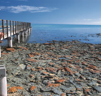 Hamelin Pool Stromatolites - Tourism Adelaide