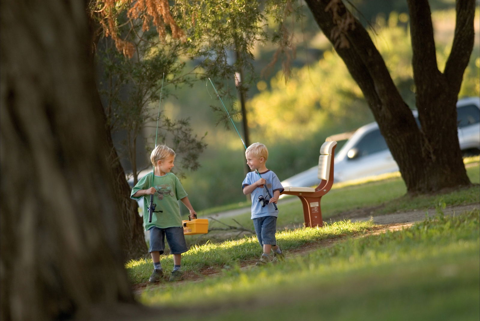 Loftville NSW Tourism Adelaide