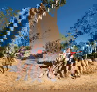 Magnetic Termite Mounds - Tourism Adelaide