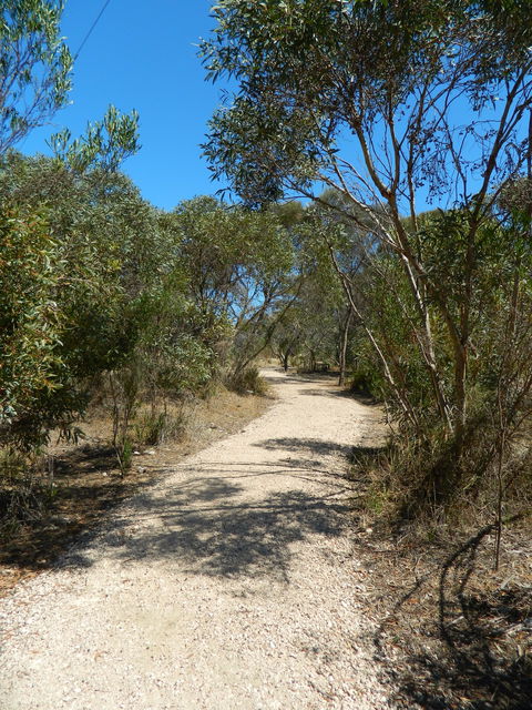 Meningie Lions Walking Trail - Tourism Adelaide 2
