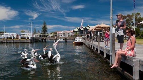 Metung VIC Tourism Adelaide