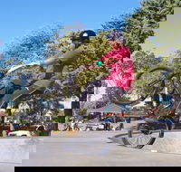 Millicent Skatepark - Tourism Adelaide