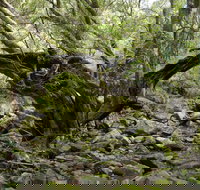 Mitchell River Walking Track - Tourism Adelaide