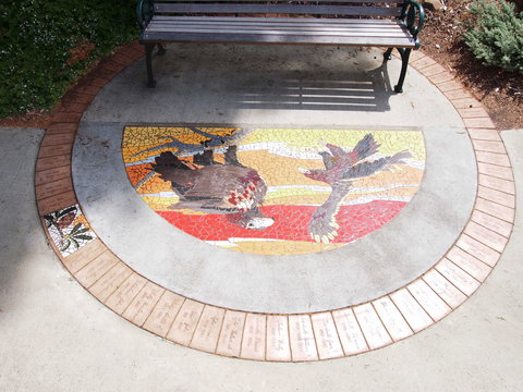 Mosaic Pathway (WASS) - Tourism Adelaide 2