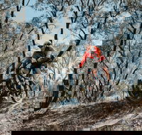 Mountain Bike Trails Deniliquin - Tourism Adelaide