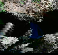 Natural Bridge Circuit Springbrook National Park - Tourism Adelaide