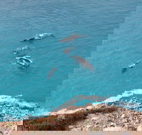 Nullarbor National Park - Tourism Adelaide