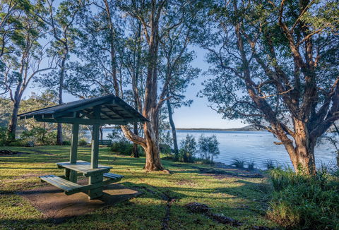 Queens Lake Picnic Area - Tourism Adelaide 0