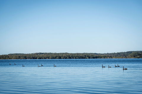 Queens Lake Picnic Area - Tourism Adelaide 1