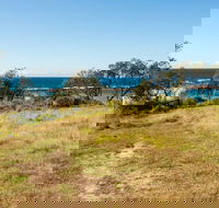 Stokes Island picnic area - Tourism Adelaide