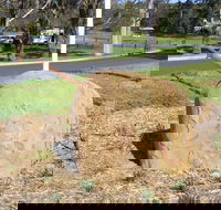 Stratford Historical Society and Museum - Tourism Adelaide