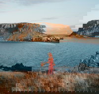 The Nut - Tourism Adelaide