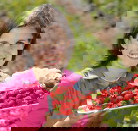 The Super Strawberry - Tourism Adelaide