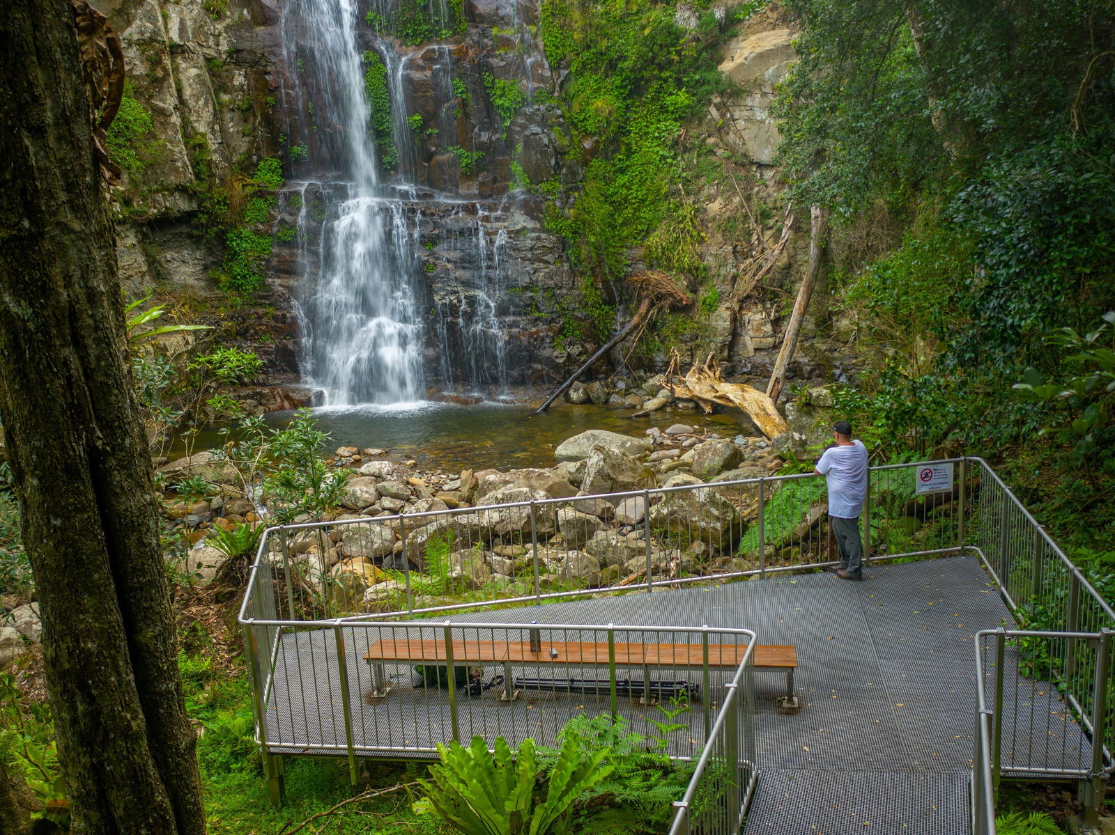 Budderoo NSW Tourism Adelaide