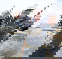 Tiddy Widdy Beach - Tourism Adelaide