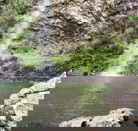 Twin Falls Circuit Springbrook National Park - Tourism Adelaide