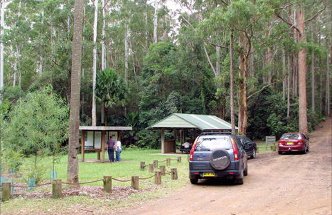 Wallingat Forest Drive - Tourism Adelaide 0