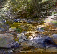 Washpool Walking Track - Tourism Adelaide