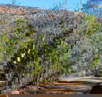 Weddin Gap to Black Spring Loop Trail - Tourism Adelaide