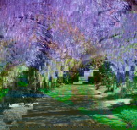 Alowyn Gardens and Nursery - Tourism Adelaide