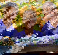 Bella Lavender Estate - Tourism Adelaide